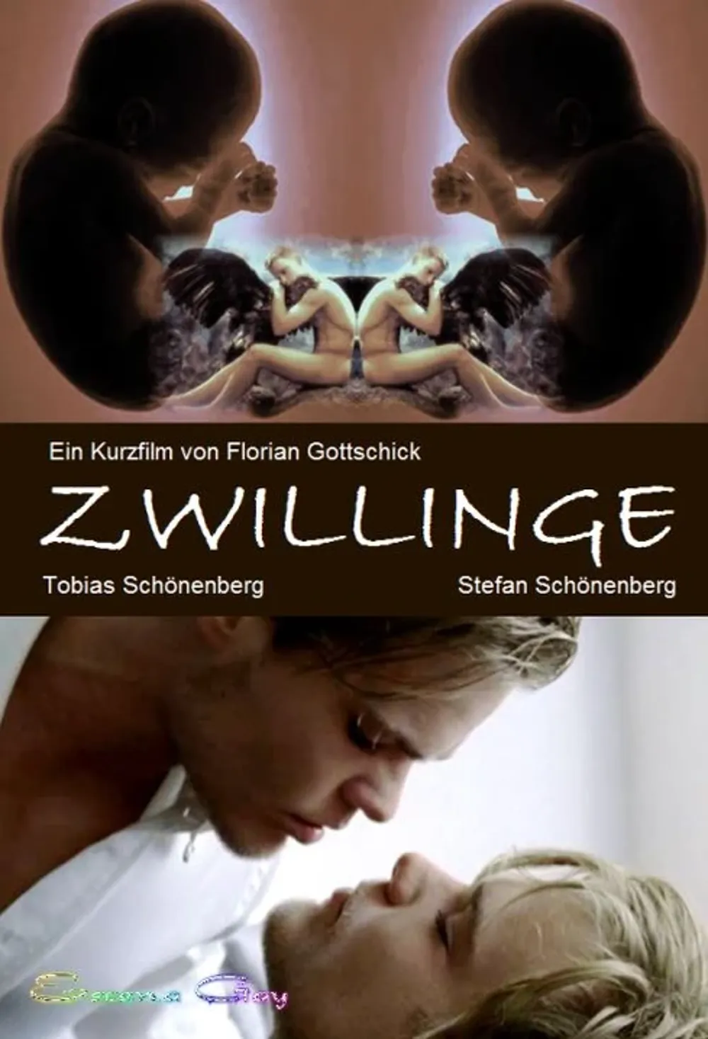 ZWILLINGE